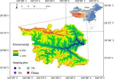 Dynamic restoration mechanism of plant community in the burned area of northeastern margin of Qinghai-Tibet Plateau